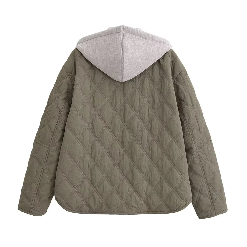 Long Sleeve Hooded Jacket