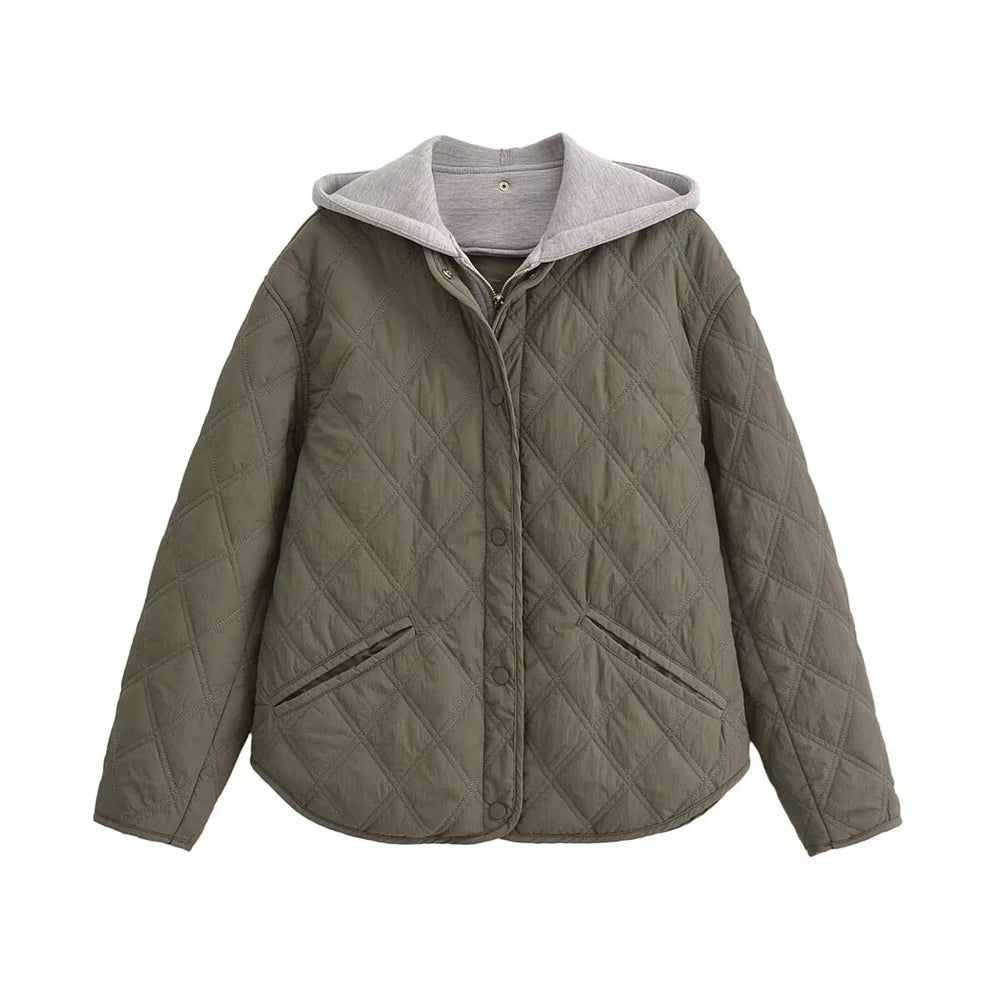 Long Sleeve Hooded Jacket